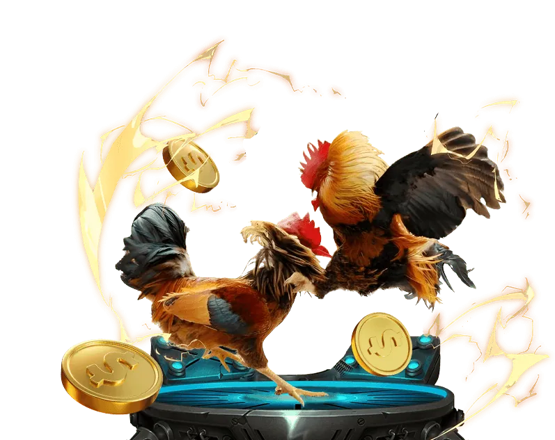 Rút tiền thắng cược đá gà